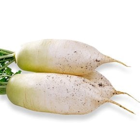 국내산 햇 흙 무 3kg