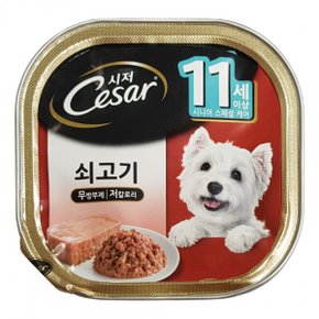 시저캔 11세 이상 100g (쇠고기) x 24개