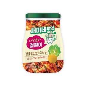 샘표 새미네부엌 겉절이양념 90g 겉절이양념