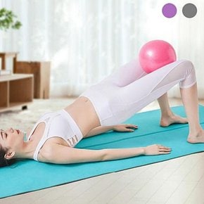 요가볼 요가 25cm 필라테스 필라테스볼 스트레칭 볼 탱탱볼