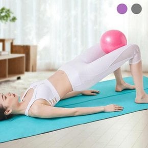 요가볼 요가 25cm 필라테스 필라테스볼 스트레칭 볼 탱탱볼