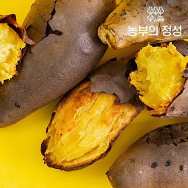  [농부의정성] 무안 황도밭 황해 꿀고구마 3kg(중대혼합)