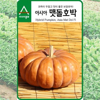 아시아맷돌호박 모종 심는 모습