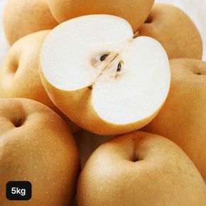 가정용 못난이 나주배 5kg[35058678]