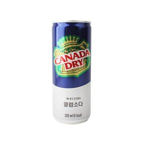 캐나다드라이 클럽소다 250ml 캔 30개 1박스 탄산음료