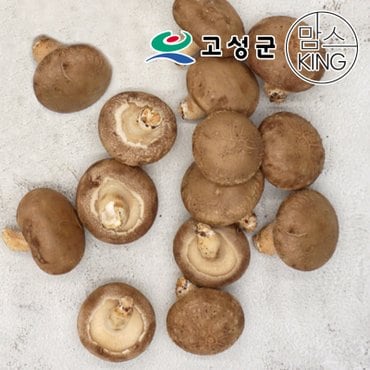 공룡나라 고성 웅이표고농장 생표고버섯(생표고/하품1kg)