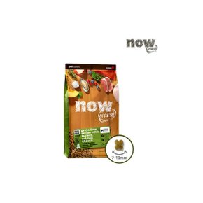 NOW 그레인프리 스몰브리드 시니어 DF 2.72kg