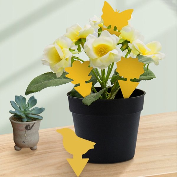 확대된 대표 상품이미지1