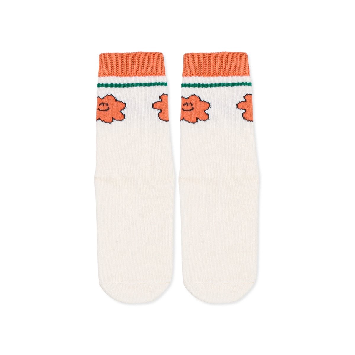 확대된 대표 IMAGE1