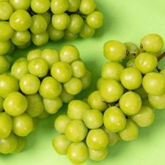 [에어셀안전포장]고당도 샤인머스켓 일반형 1.3kg 2수