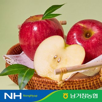 맛딜 [유명산지] 아삭달콤한 거창 꿀사과 못난이사과 5kg(소과)24-29과 내외