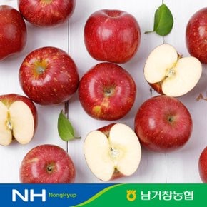 [유명산지] 아삭달콤한 거창 꿀사과 못난이사과 5kg(소과)24-29과 내외