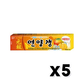 해태 연양갱 애플망고 디저트간식 55g x 5개