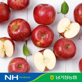 [유명산지] 아삭달콤한 거창 꿀사과 못난이사과 5kg(대과)14-16과 내외