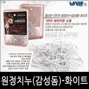 낚시방 챌리온 C-BOX  원정 백지누 등침(감성돔덕용바늘)