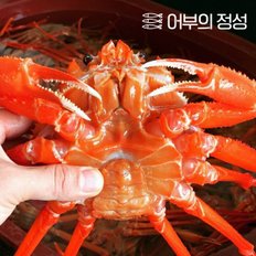 [냉동][어부의정성] 경북포항 김민호님의 자숙홍게 실속형 22마리