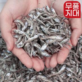 정치망 가이리 멸치 150g