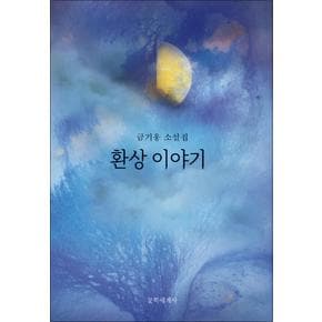 환상 이야기 - 금기웅 소설집