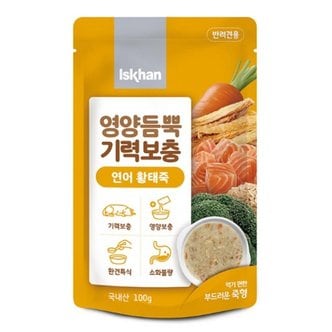 MOLLY'S 이즈칸 독 영양듬뿍 기력보충 연어황태죽 100g