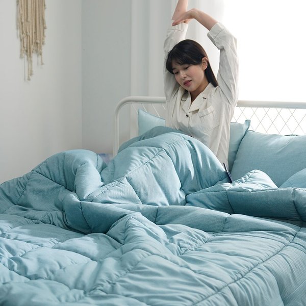 아밍 로빈 세미 마이크로 차렵이불 Q 베개세트