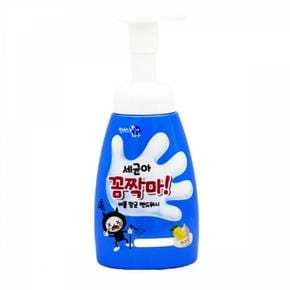 BTM 세균아꼼짝마 핸드워시 망고향 250ml X ( 2매입 )