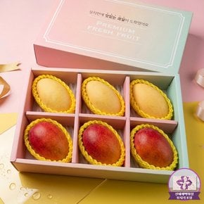 Premium망고혼합세트1호(애플3입, 골드3입/2.28kg내외)_신세계보자기+안전박스