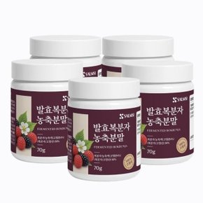 고창 복분자 분말 고농축 발효농축분말 가루  5통
