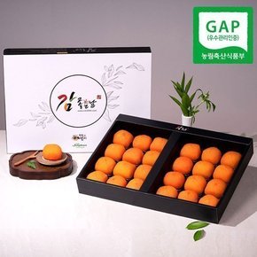 청도 반건시 곶감 선물세트 24구 특대자 80g~110g (2입)