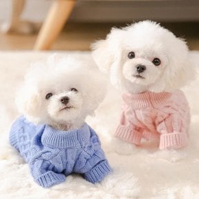 강아지 고양이 애견 애모 따뜻한 겨울 꽈배기 니트