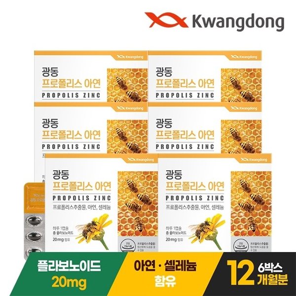 [광동] 프로폴리스 아연 60캡슐 6박스 12개월분 / 플라보노이드 셀레늄