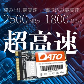 DATO (Dat) SSD DP342 M.2 2242 PCIe Gen3 x 4 NVMe (512GB) 25001800 메가바이트 (내장 솔리드)