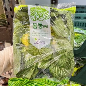 트레이더스 봄동 1봉