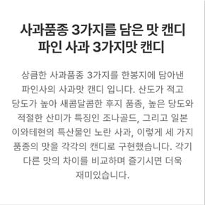 파인사과3가지맛캔디