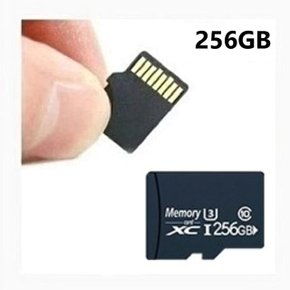 TF 256GB Mini SD 메모리카드 마이크로 드론 블랙박스 (WDC780C)