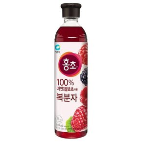 대상 홍초 복분자 900ml