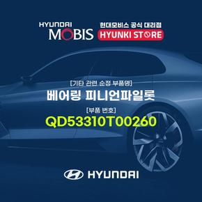 베어링 피니언파일롯 (QD53310T00260)