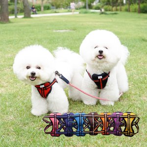 REAL PET 소프트 H형 매쉬 하네스 9color 애견 가슴줄 초소형견 중형견 산책 용품