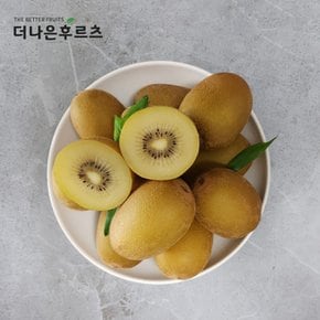 특품 고당도 신선 뉴질랜드 골드 키위 2kg 내외 2팩(14~18과)