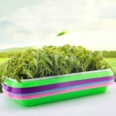  새싹재배기 무순 씨앗 보리새싹 키우는 용기 랜덤 (WDA6B79)