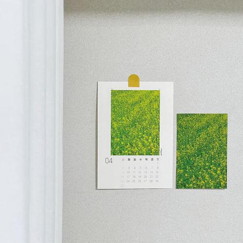 IMAGE7
