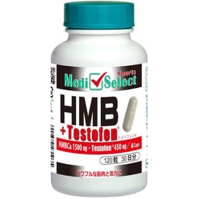 HMBCa 1500mg, 450mg) HMBCa 메디 셀렉트 스포츠 HMB+테스트펜 캡슐 120립(4립으로 테스트펜