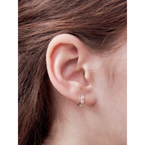 dreamy cubic earring