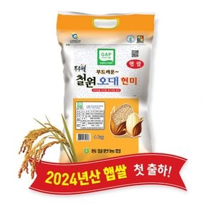 (강원S)(당일도정) 2024년산 동철원농협 철원오대현미 4kg, 햅쌀