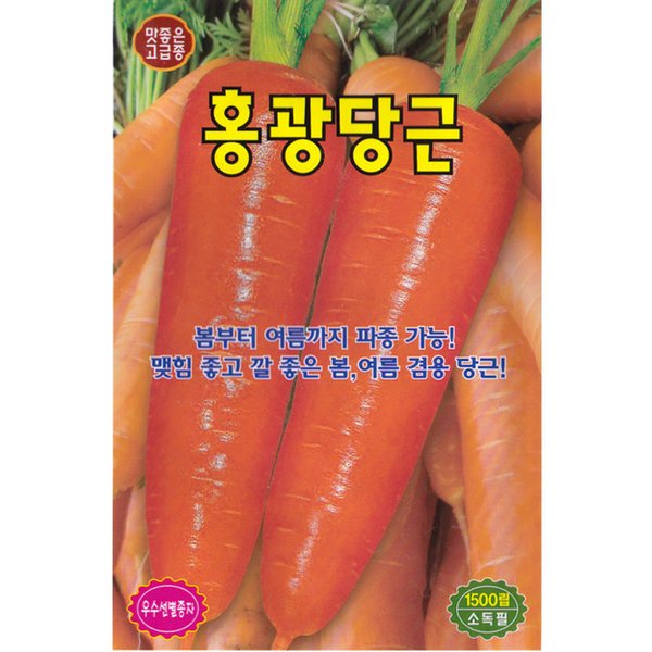 확대된 대표 대표이미지