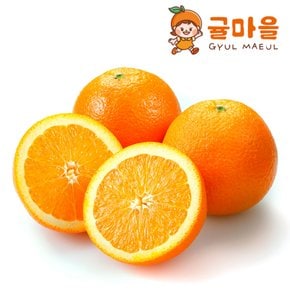고당도 네이블 오렌지 중과 10과 개당190g내외
