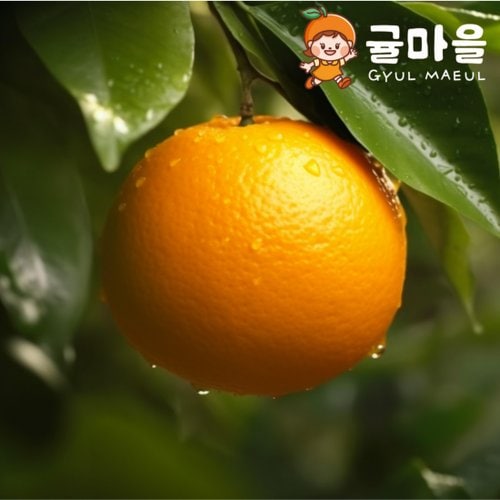 추가2이미지