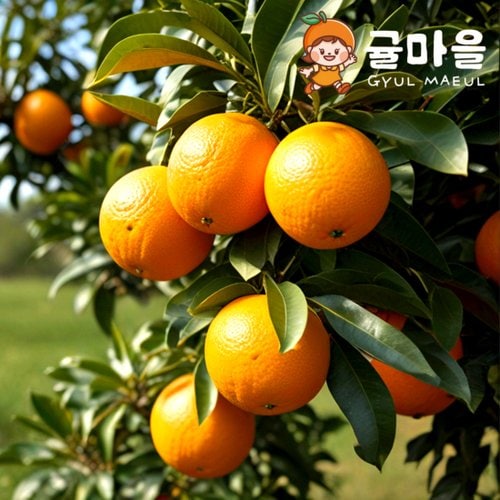 추가3이미지