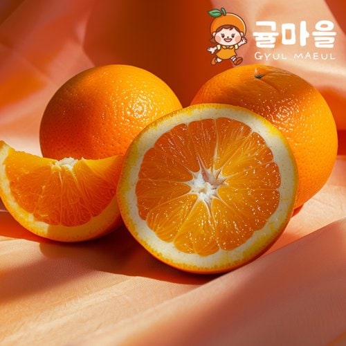 추가4이미지