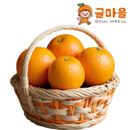 추가5이미지