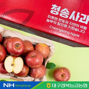 대구경북능금농협 청송 정품 사과 10kg 32과내  부사
